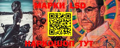 прущие грибы Кингисепп