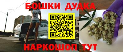 прущие грибы Кингисепп