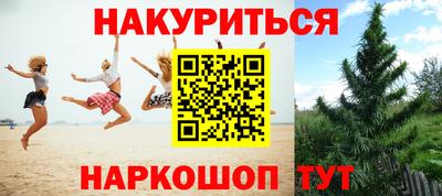 прущие грибы Кингисепп