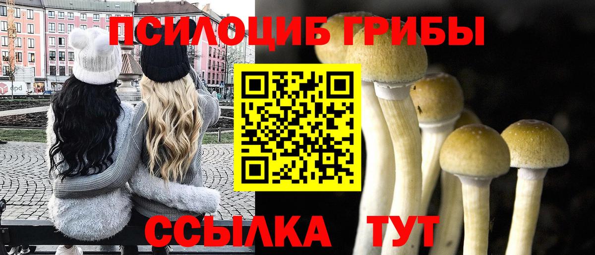 Галлюциногенные грибы Psilocybe  Галлюциногенные грибы Psilocybine cubensis  Вход с VPN  Кудрово 